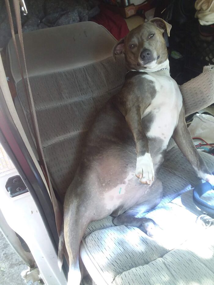 To The Tune Of "I'm Too Sexy..."