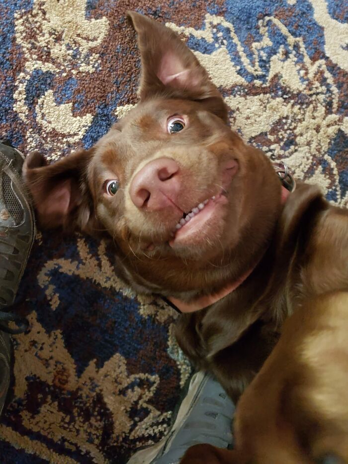 Harley Girl - No Thoughts In There