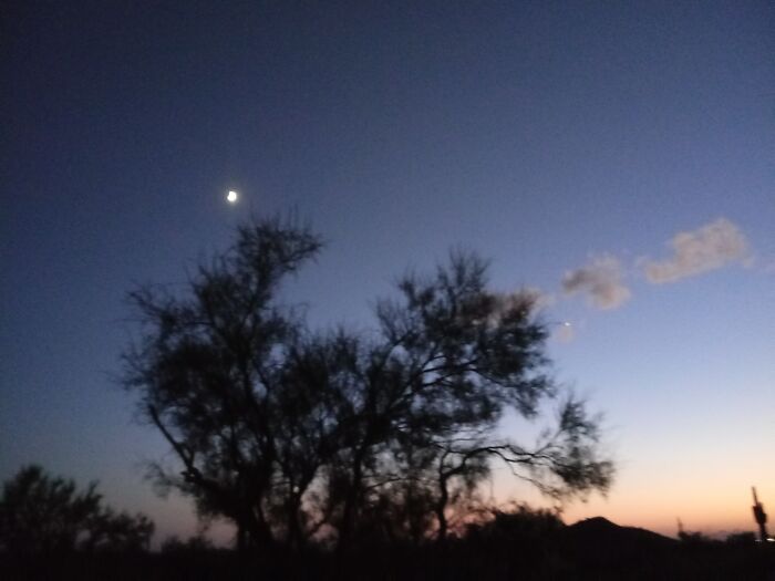 I See The Moon And The Moon Sees Me. End Of Story