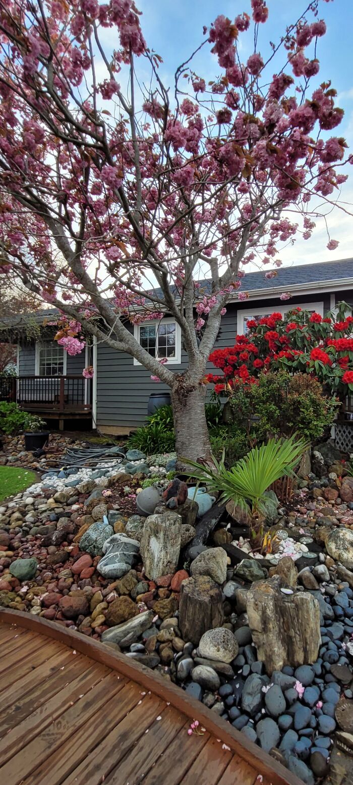 What To Do With All These Rocks I've Been Collecting