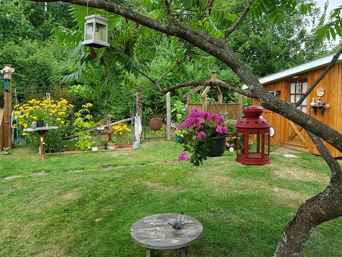 The Other Part Of My Garden/Back Yard