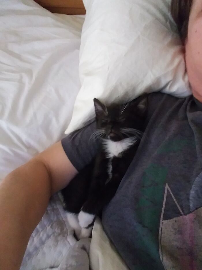 Went Grocery Shopping, Found Howard Under A Pallet Of Mulch Out Front. Welcome Home, Li'l Man!