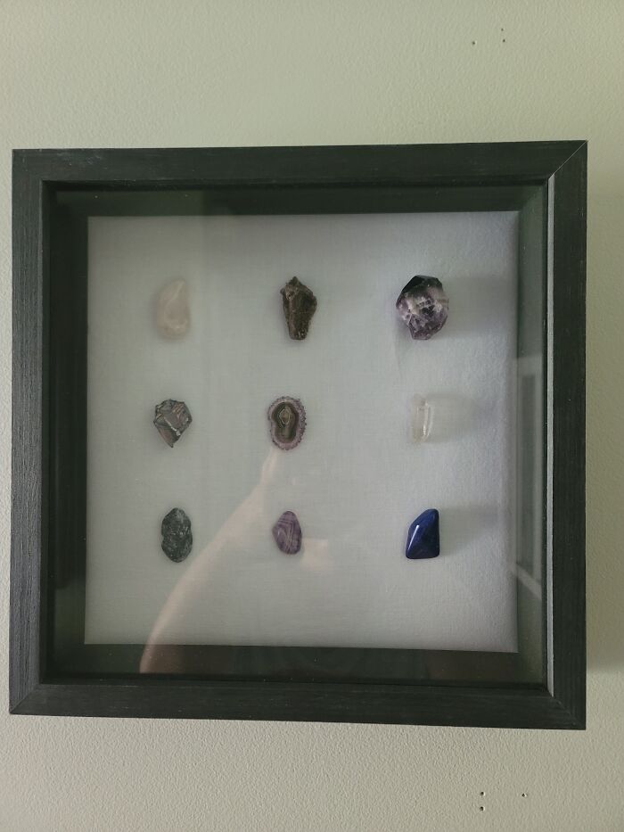 Ancient Gemstones And Petrified Wood Thought To Be Between 50 & 500 Million Years Old