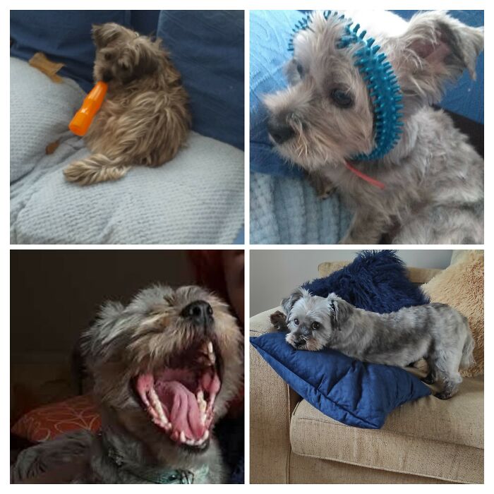 Which One Represents Your Mood Aha