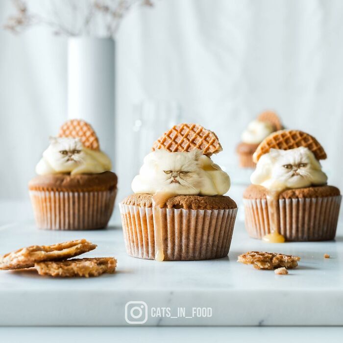 In An Oddly Cute Way, This Artist Keeps Pairing Cats With Food (New Pics)