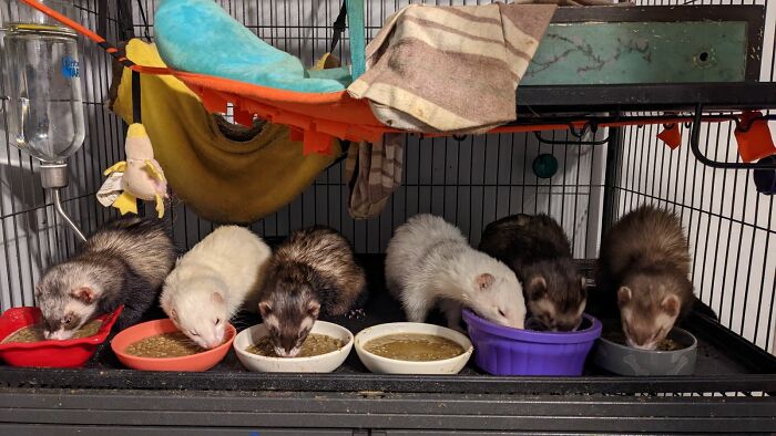 Cost A Ton To Get, And A Fortune To Keep But 100% Worth It!