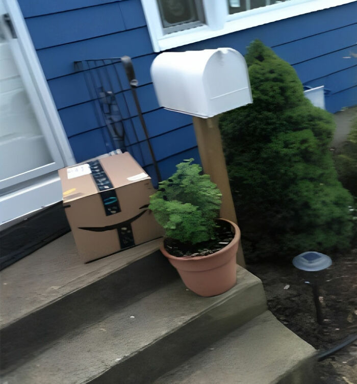 That Is My Package. That Is Not My House