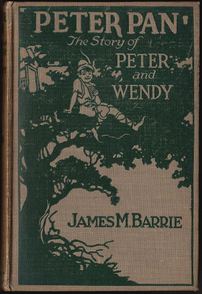All The Proceeds Earned From J.M. Barrie’s Book "Peter Pan" Were Given To The Great Ormond Street Hospital For Sick Children In London