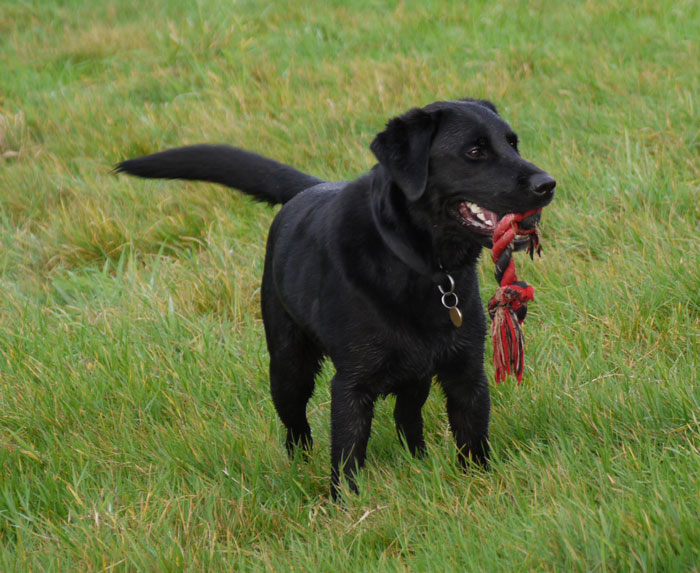 Spoiled Teenager Gets His Birthday Plans Dashed After Aunt Refuses To Host His Birthday Party Spoiled Teenager Gets His Birthday Plans Dashed After Aunt Refuses To Host His Birthday Party
