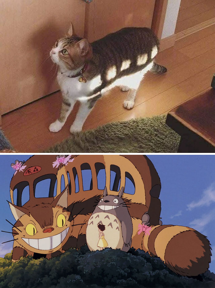 Hayao-Miyazaki-Movie-Memes