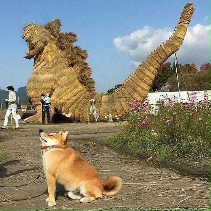 Unusual-Images-Facebook