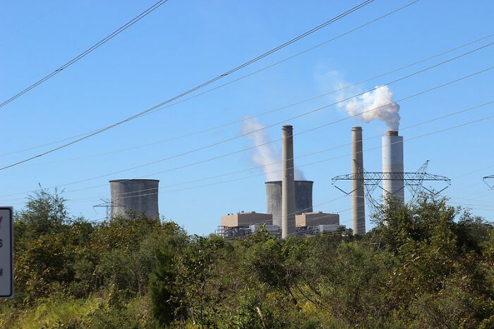 50 Little-Known Disney World Facts To Intrigue Or Concern