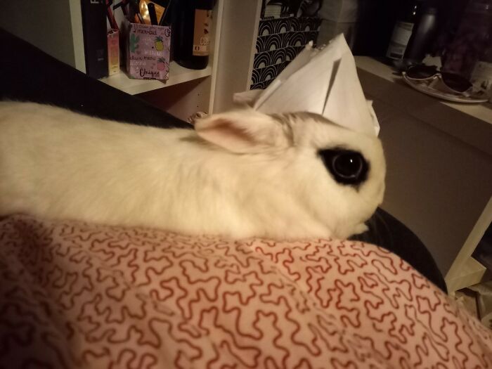 Baby Lewis Le Blanc Wearing A Bonnet As A Nurse While Taking Care Of Me (I Had A Flu So I Decided To Recruit Him)