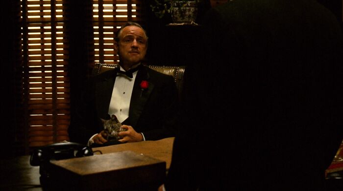 Don Vito Corleone sitting with a cat