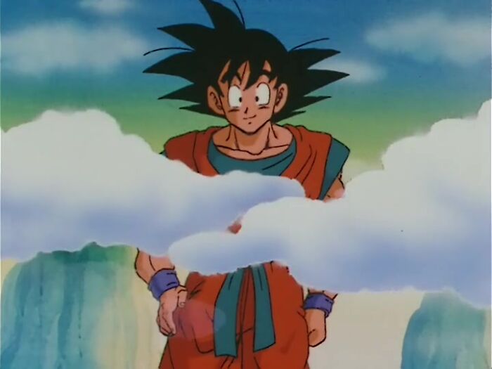 Adult Goku standing and smiling from Dragon Ball Z