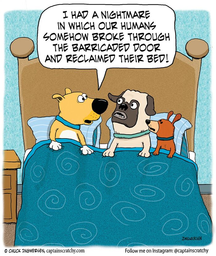 New Wholesome Single-Panel Comics By “Captain Scratchy” About Animals Can Amuse You
