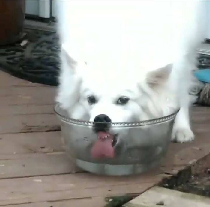 How Max Drinks. The Video Is Hilarious