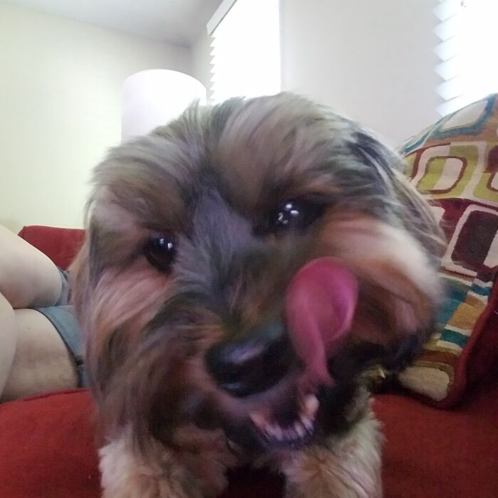 Sry For The Double Post