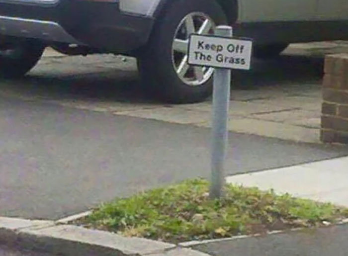 Damn I Was Planning On Playing Football There