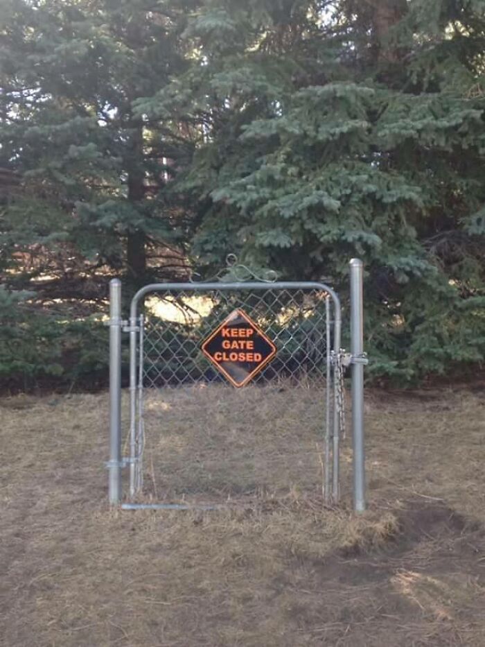 Unusual-Images-Facebook