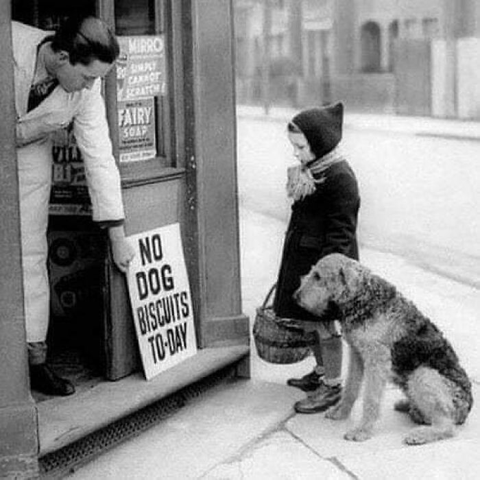 "No Dog Biscuits To-Day" A Sad Dog With Its Owner In London, 1939