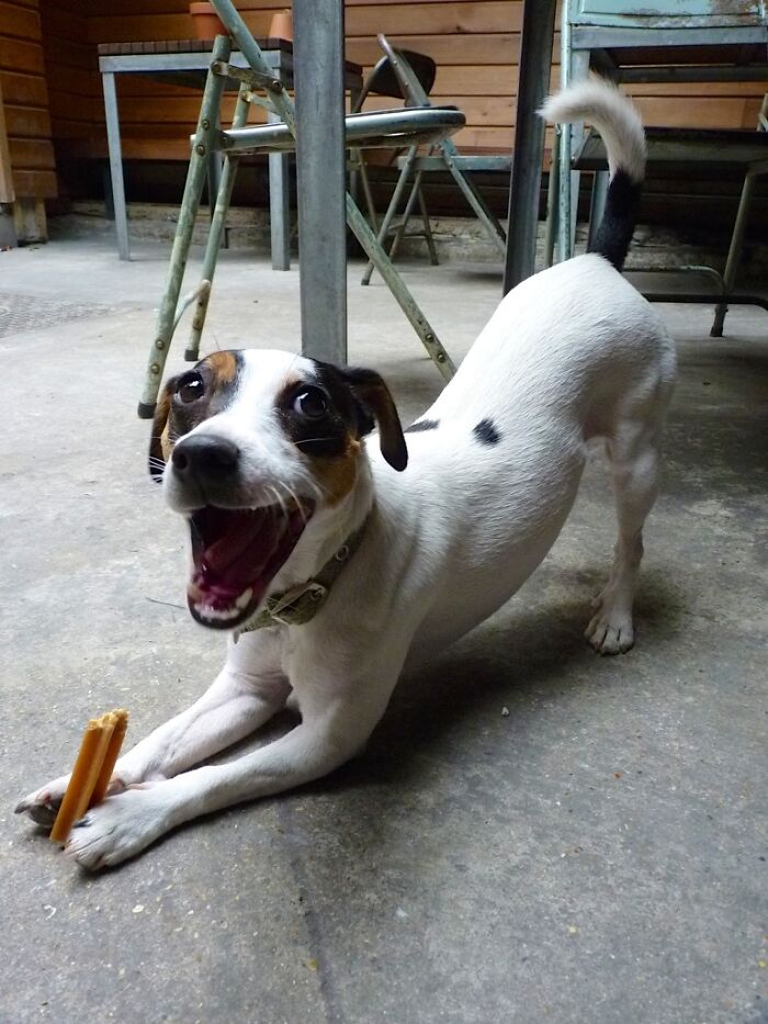 So Excited About This Particular Treat