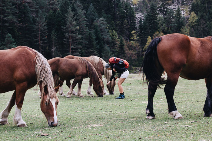 Entitled Horse Rider Made To Literally Scoop Horse Dung Into Her Backpack After Being Caught By Landowner Entitled Horse Rider Made To Literally Scoop Horse Dung Into Her Backpack After Being Caught By Landowner