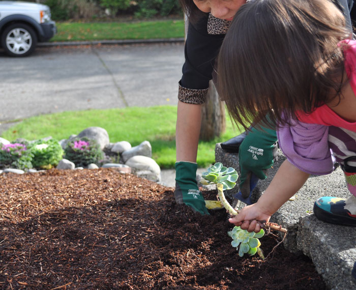 Neighbor Ruins Kid’s Botany Project Over And Over As Parents Keep Putting It In Her Parking Spot