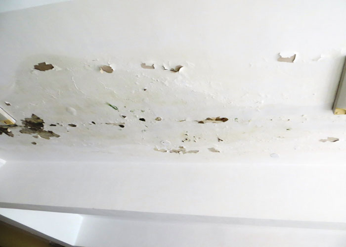 Landlord Denies $400 Refund For Repairs, IT Guy Amps Up His Machinery So It Costs Him $500/Month Landlord Denies $400 Refund For Repairs, IT Guy Amps Up His Machinery So It Costs Him $500/Month