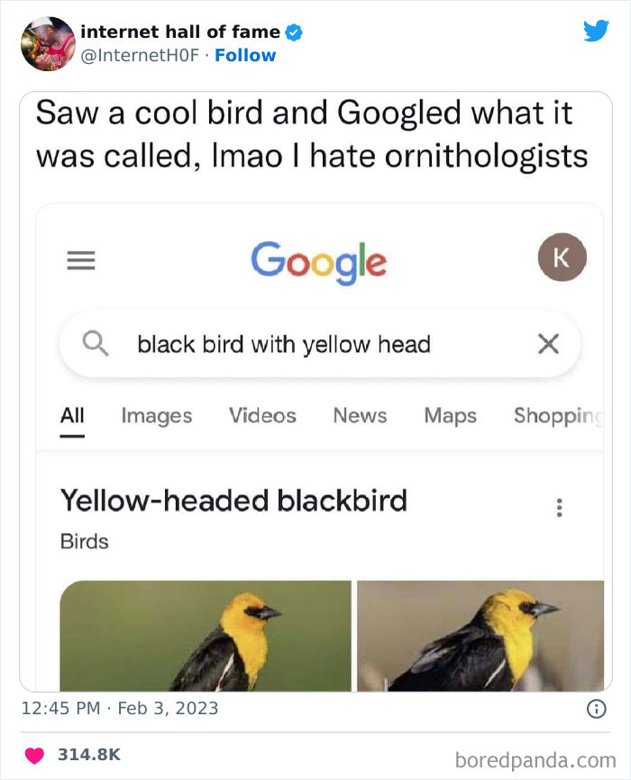 Internet-Hall-Of-Fame-Posts