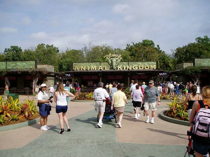 50 Little-Known Disney World Facts To Intrigue Or Concern