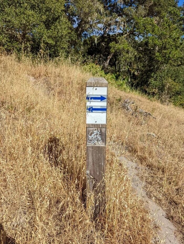 Useless Trail Sign