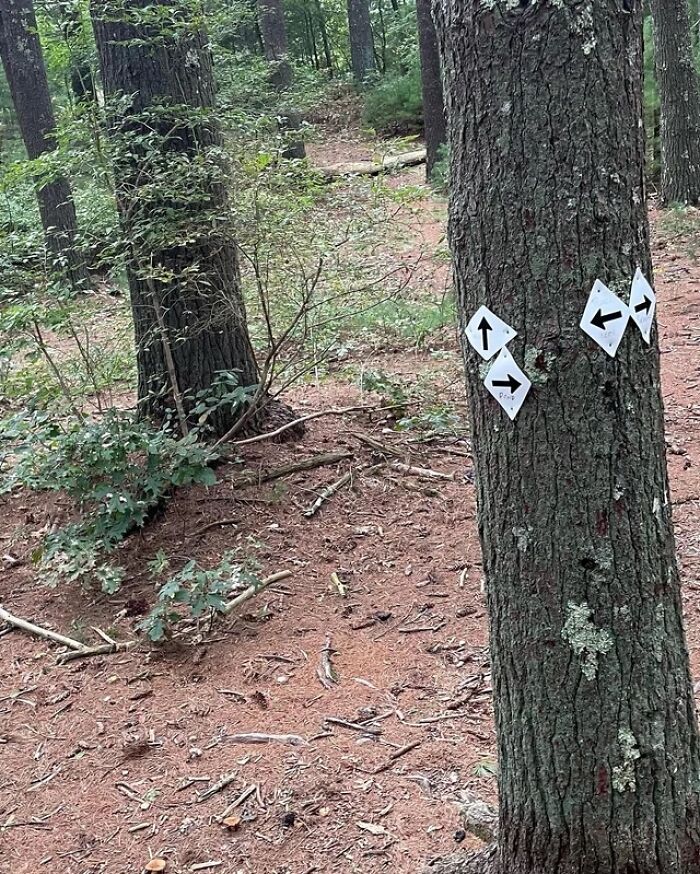 These 45 Signs Are As Useful As A Chocolate Teapot And People Couldn’t