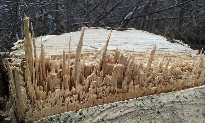 La madera se ha roto y parece el horizonte de una ciudad