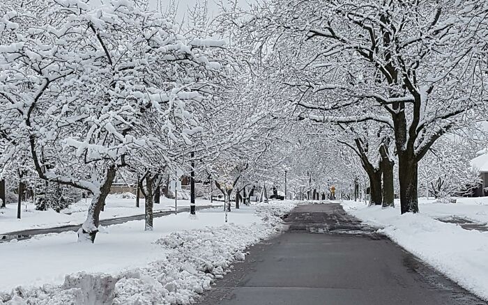 Nice Street In Waterloo