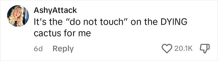 “So. Many. Rules”: Woman Goes Viral With 3.4M Views For Showing Notes With Rules All Over Her Airbnb