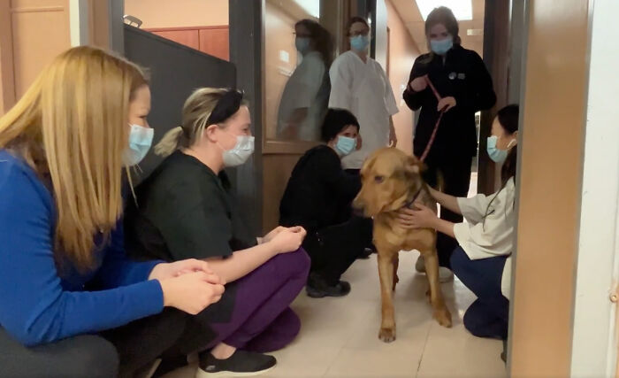 Heartwarming Video Showing Shelter Dog Saying Goodbye To Staff Members After Being Adopted