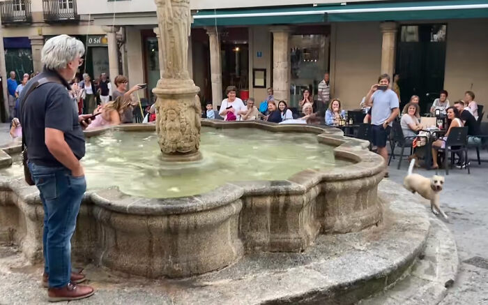 Crowd Can’t Stop Laughing At Dog Frolicking In A Fountain Crowd Can’t Stop Laughing At Dog Frolicking In A Fountain