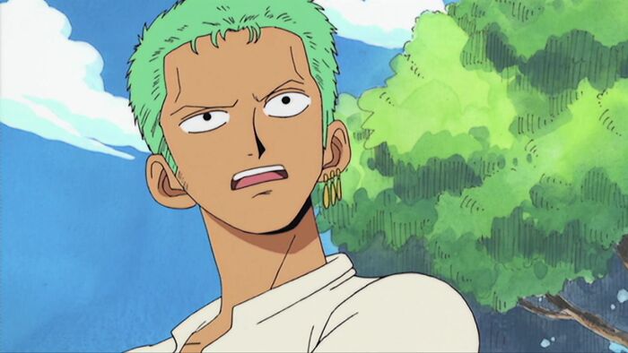Roronoa Zoro looks confused from One Piece
