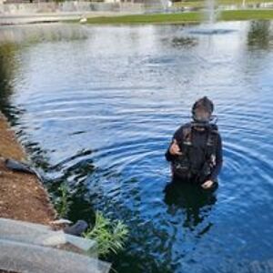 dragonheartstrings avatar