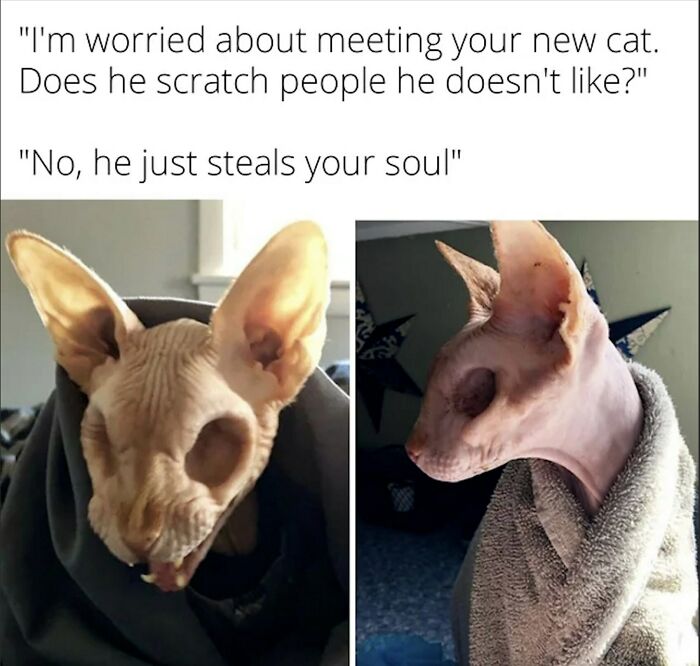 Be Carefull He Can Still See You