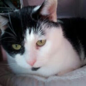 helenthompson avatar