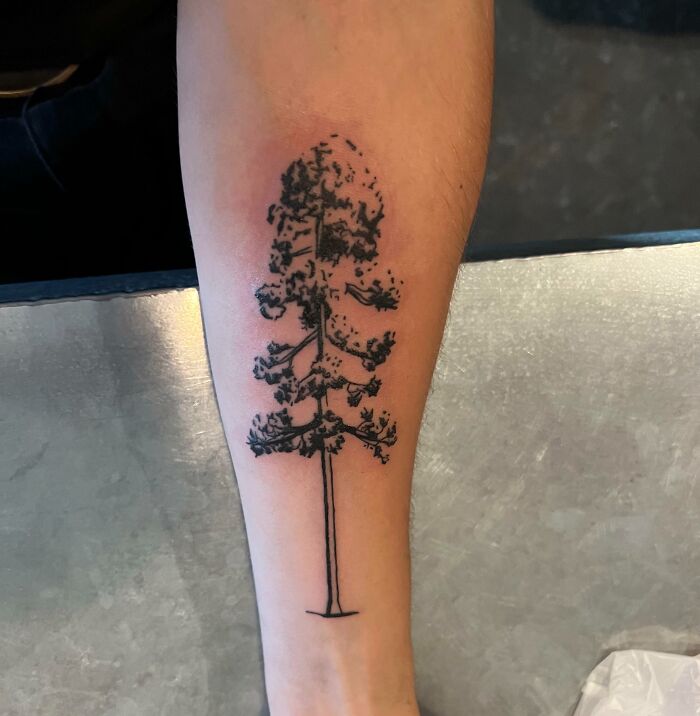 Red Pine Tree Tattoo