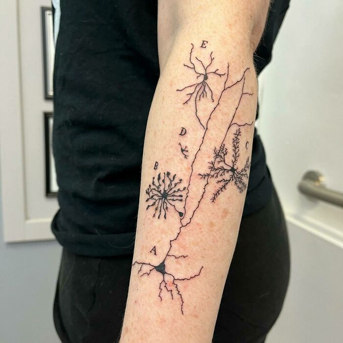 Black Ramon y Cajal inspired neuron tattoo on arm