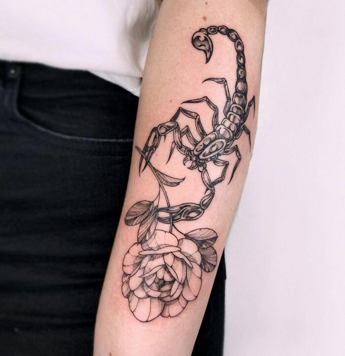 Scorpion zodiac tattoo design on forearm with detailed rose and scorpion illustration.