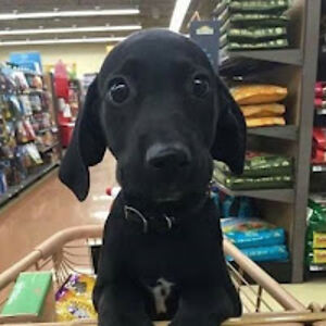 christopherfudge avatar