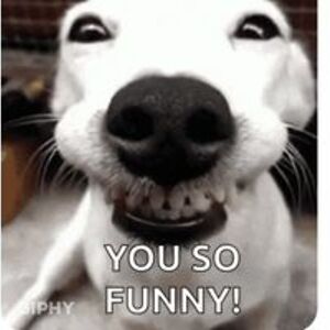 scottjamie01979 avatar