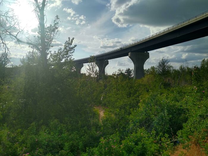 High Bridge Over Nature Preserve