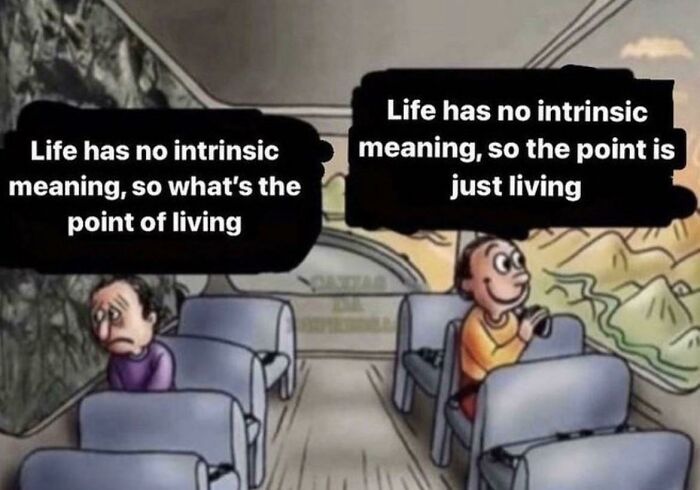 life has no instrisic meaning, so whats the point of living meme