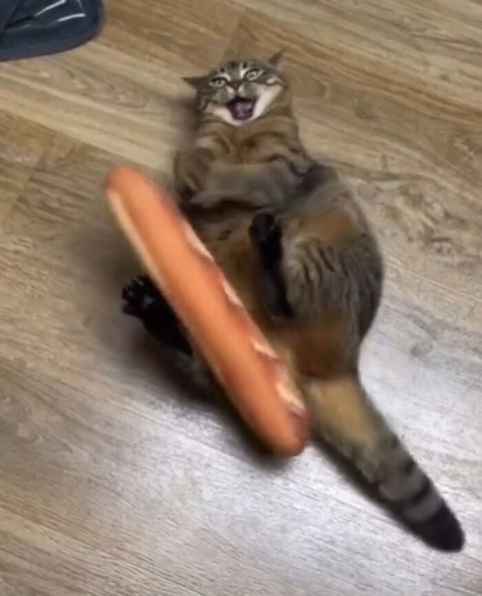 Finding-Baguettes-In-Unusual-Places